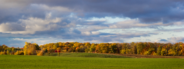 Fall on the Horizon Print