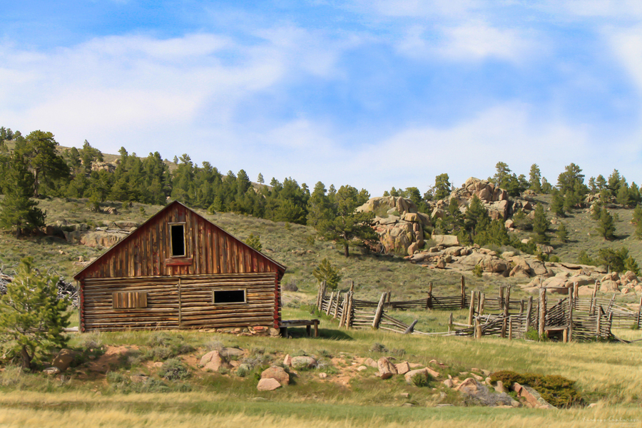 Forgotten Cabin  Print