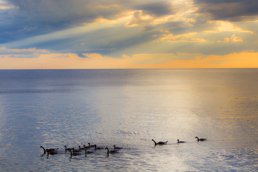 Sunset Journeys  Print