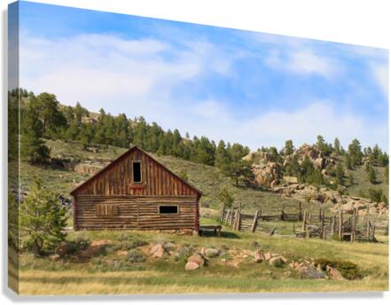 Forgotten Cabin Canvas Print