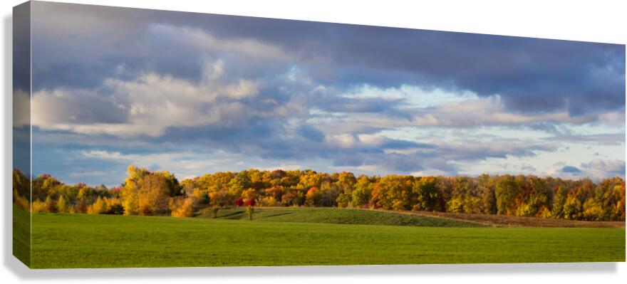 Fall on the Horizon Canvas Print