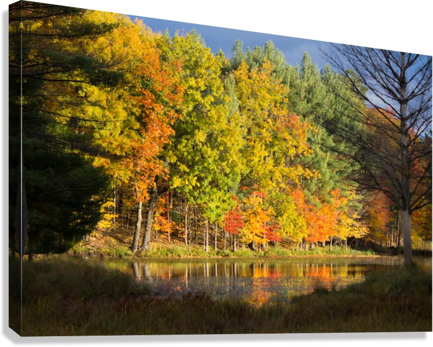 Fall in North Woods Canvas Print