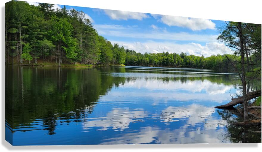 Canoe Bay Canvas Print