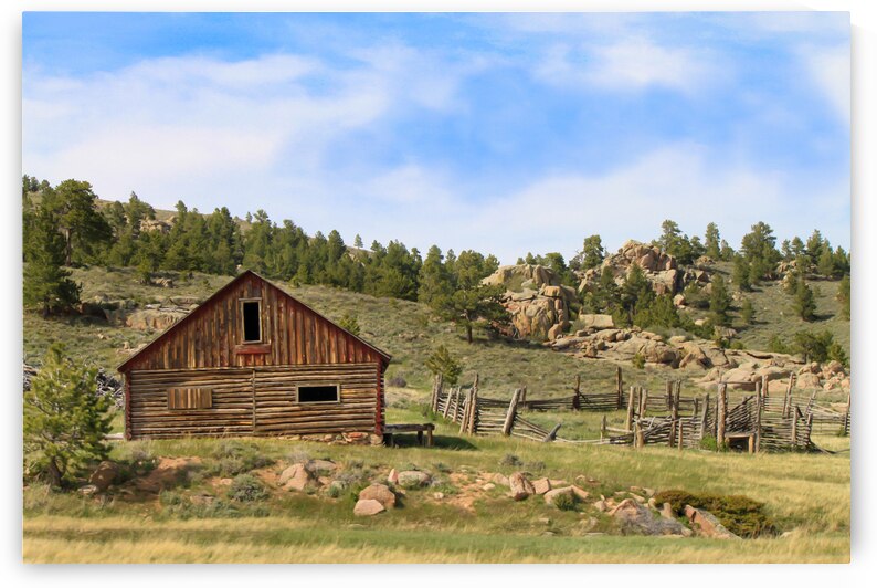 Forgotten Cabin by Kinseys Captures