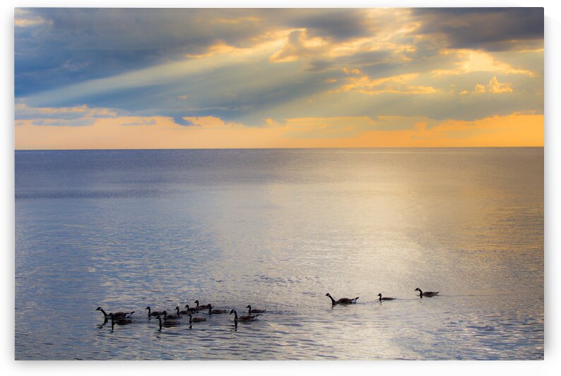 Sunset Journeys by Kinseys Captures