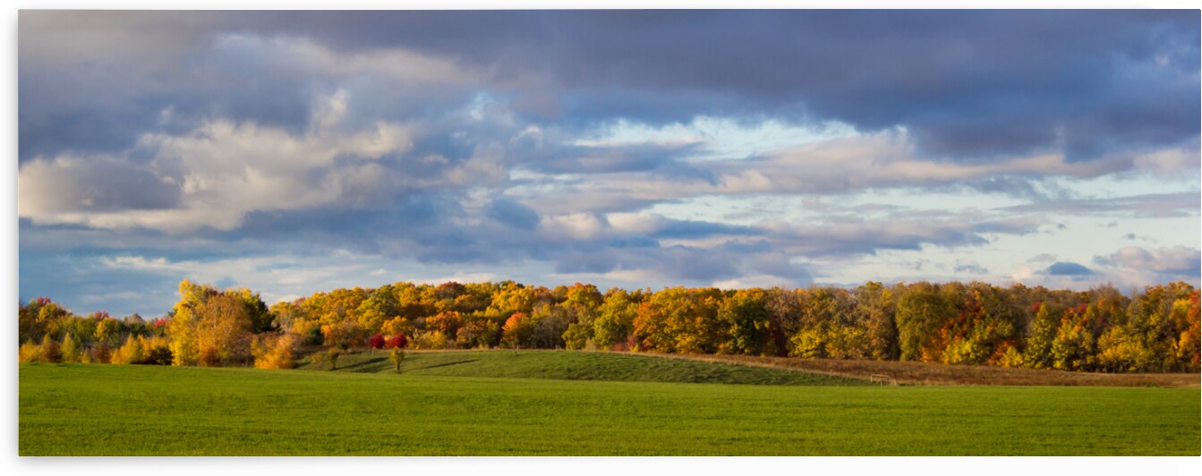 Fall on the Horizon by Kinseys Captures
