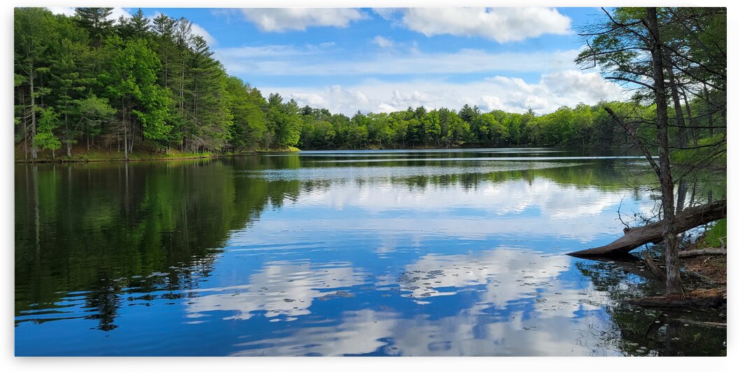 Canoe Bay by Kinseys Captures