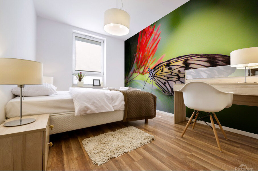 Paper Kite Dreams Mural print