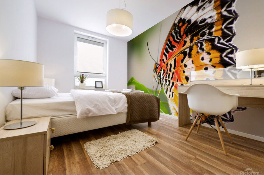 Lovely Lacewing Mural print