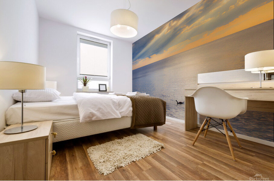 Sunset Journeys Mural print