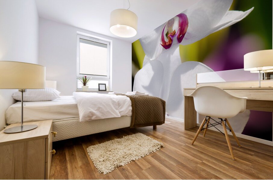 Smiling Moth Orchid Mural print