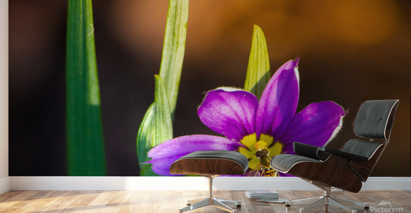 Blooms Friend Wall Murals