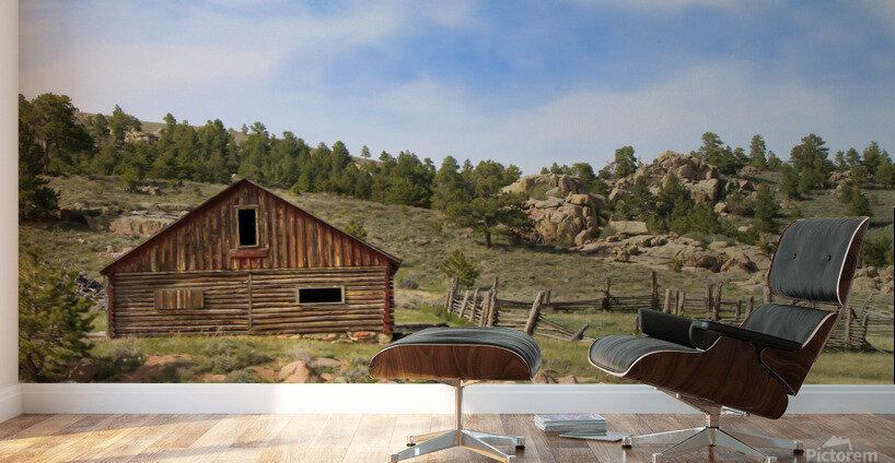 Forgotten Cabin Wall Murals