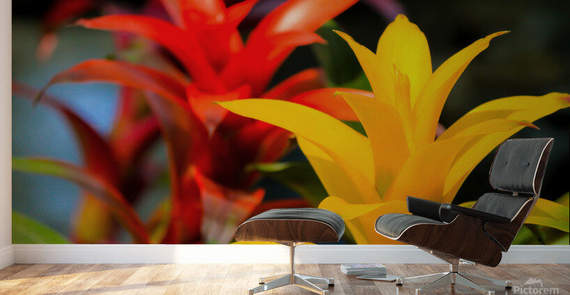 Vibrant Botanicals Wall Murals