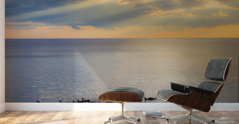 Sunset Journeys Wall Murals