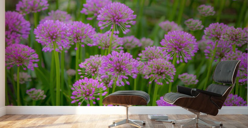 Serendipity Landscape Wall Murals