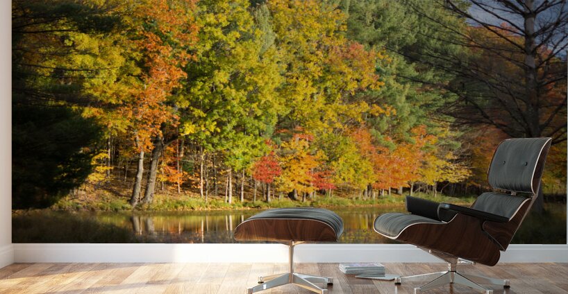 Fall in North Woods Wall Murals