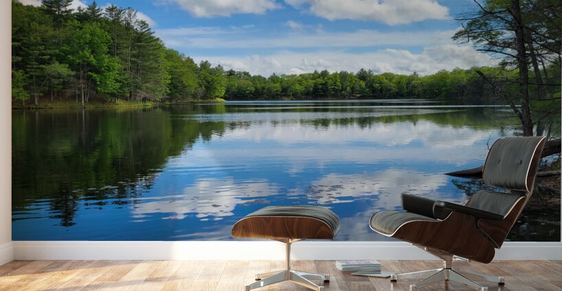 Canoe Bay Wall Murals