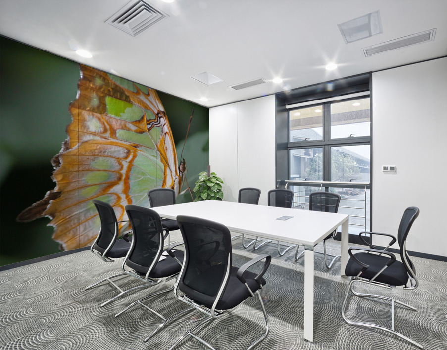 Belle Papillon Wall Printing