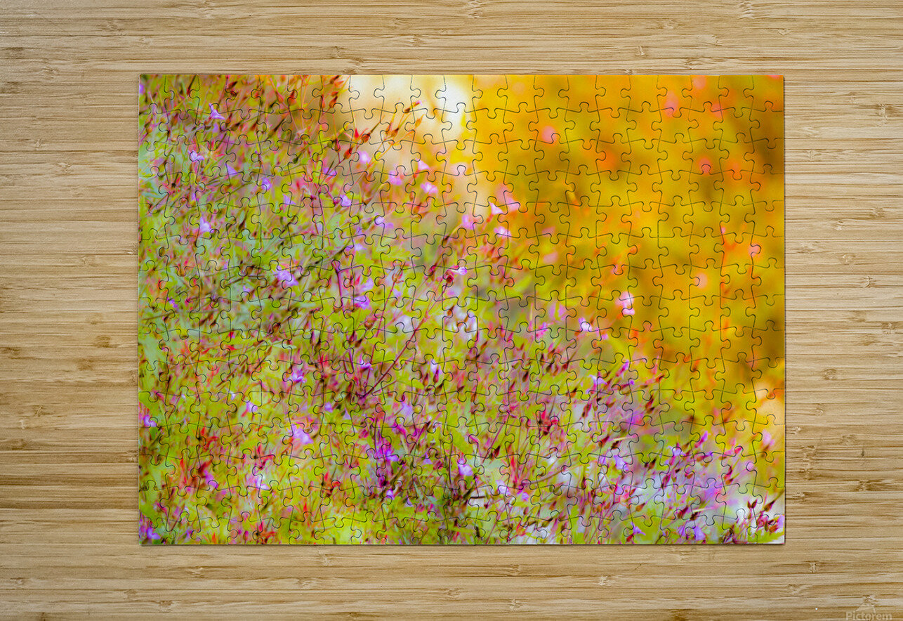 Sunset Meadow Kinseys Captures Puzzle printing
