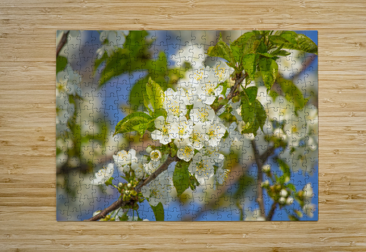 Soaring Blossoms Kinseys Captures Puzzle printing