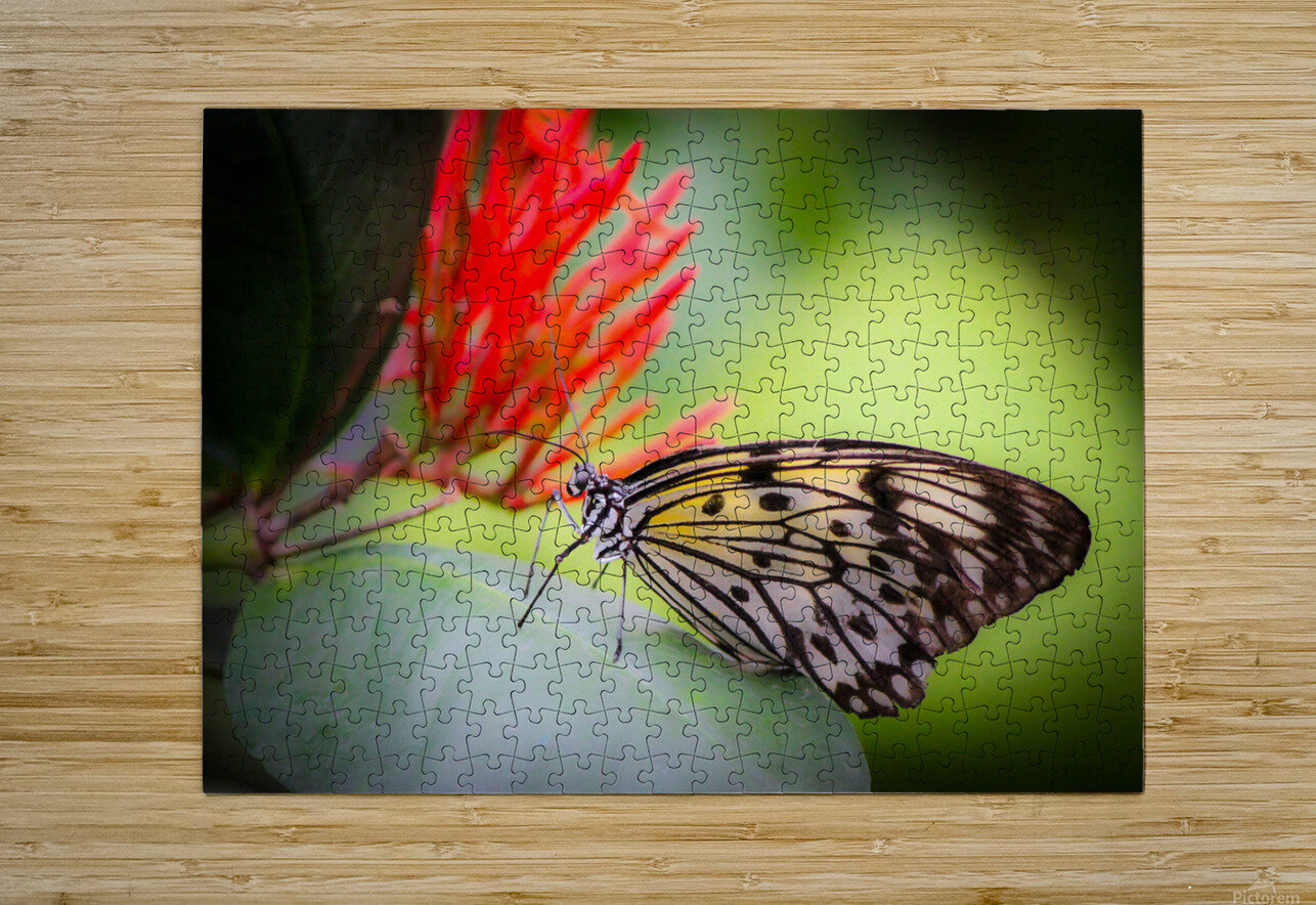 Paper Kite Dreams Kinseys Captures Puzzle printing