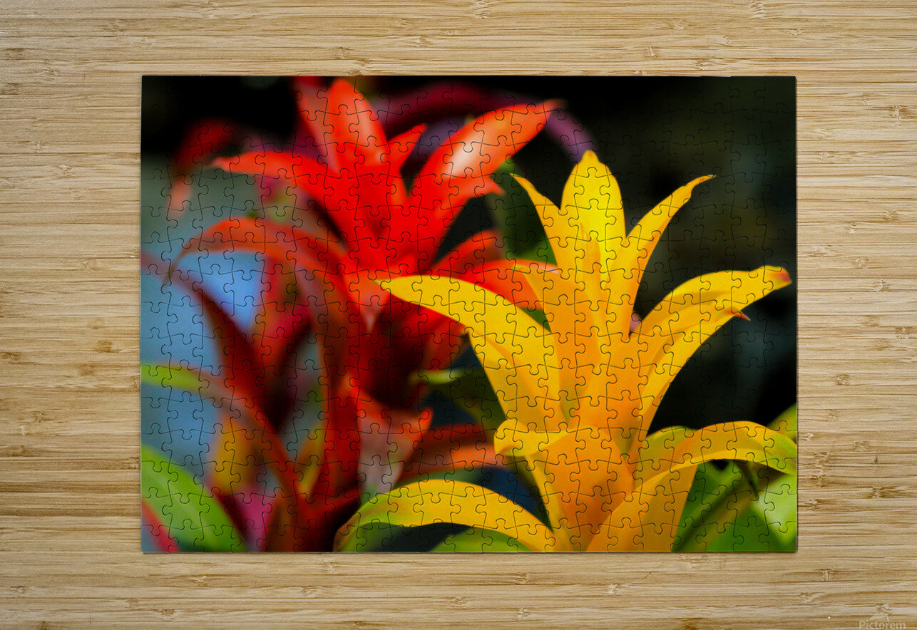 Vibrant Botanicals Kinseys Captures Puzzle printing