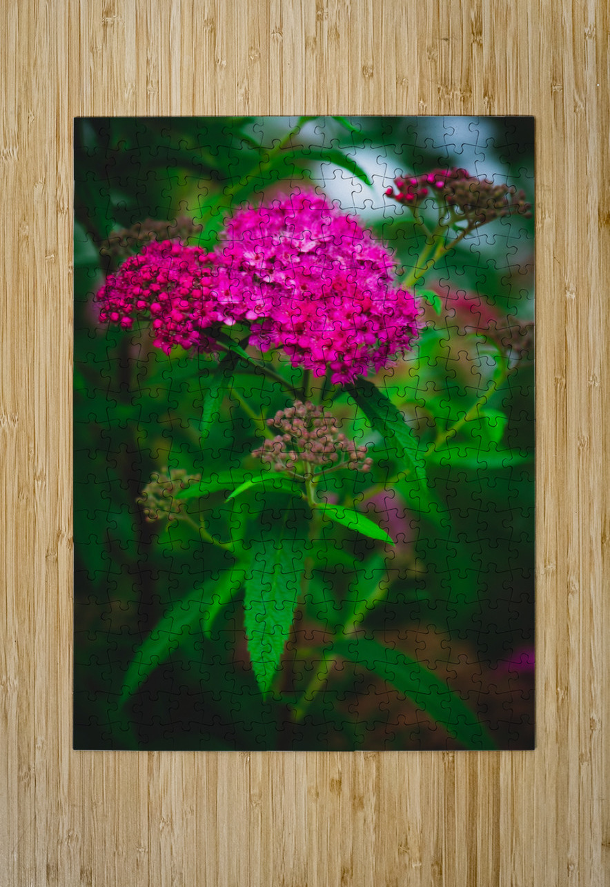 Mystical Meadowsweet Kinseys Captures Puzzle printing