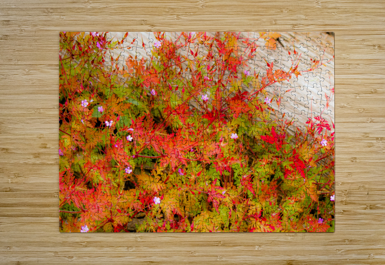 Joyful Geraniums Kinseys Captures Puzzle printing