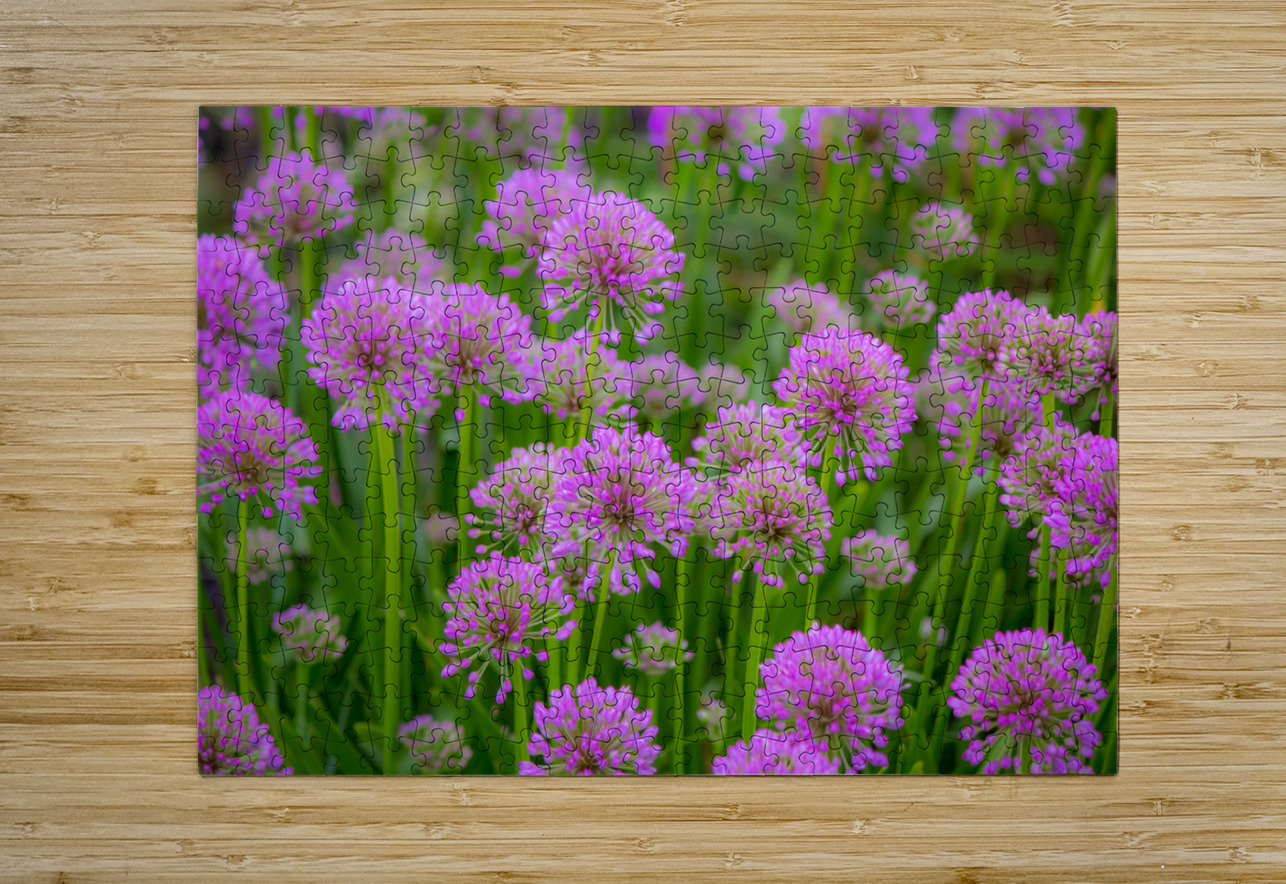 Serendipity Landscape Kinseys Captures Puzzle printing