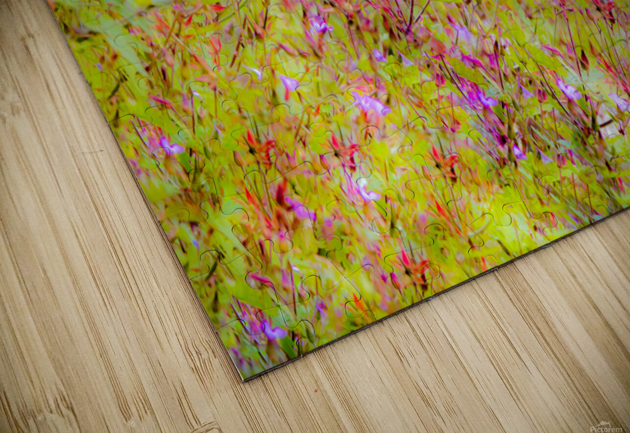 Sunset Meadow Kinseys Captures Puzzle