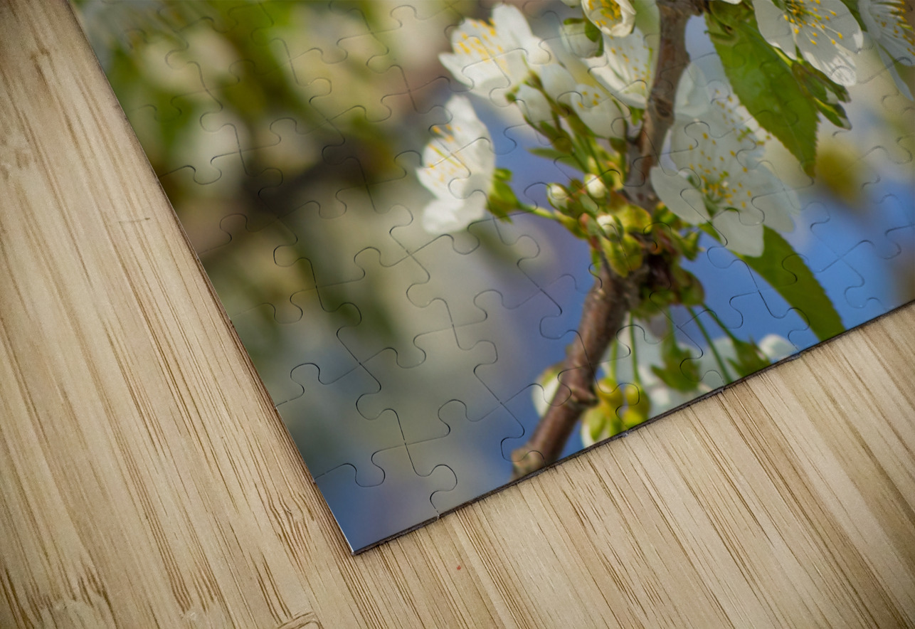 Soaring Blossoms Kinseys Captures Puzzle