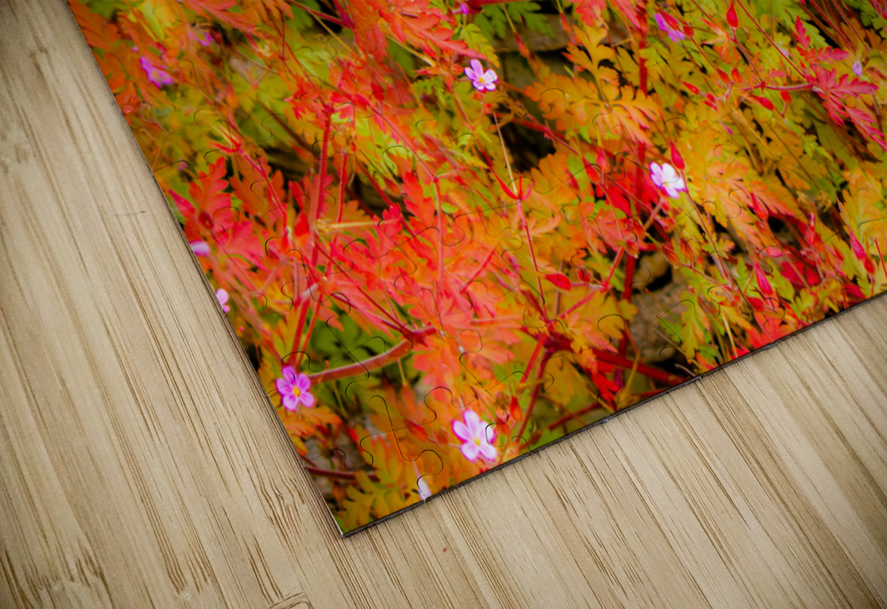 Joyful Geraniums Kinseys Captures Puzzle