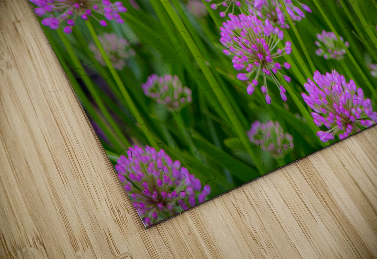 Serendipity Landscape Kinseys Captures Puzzle