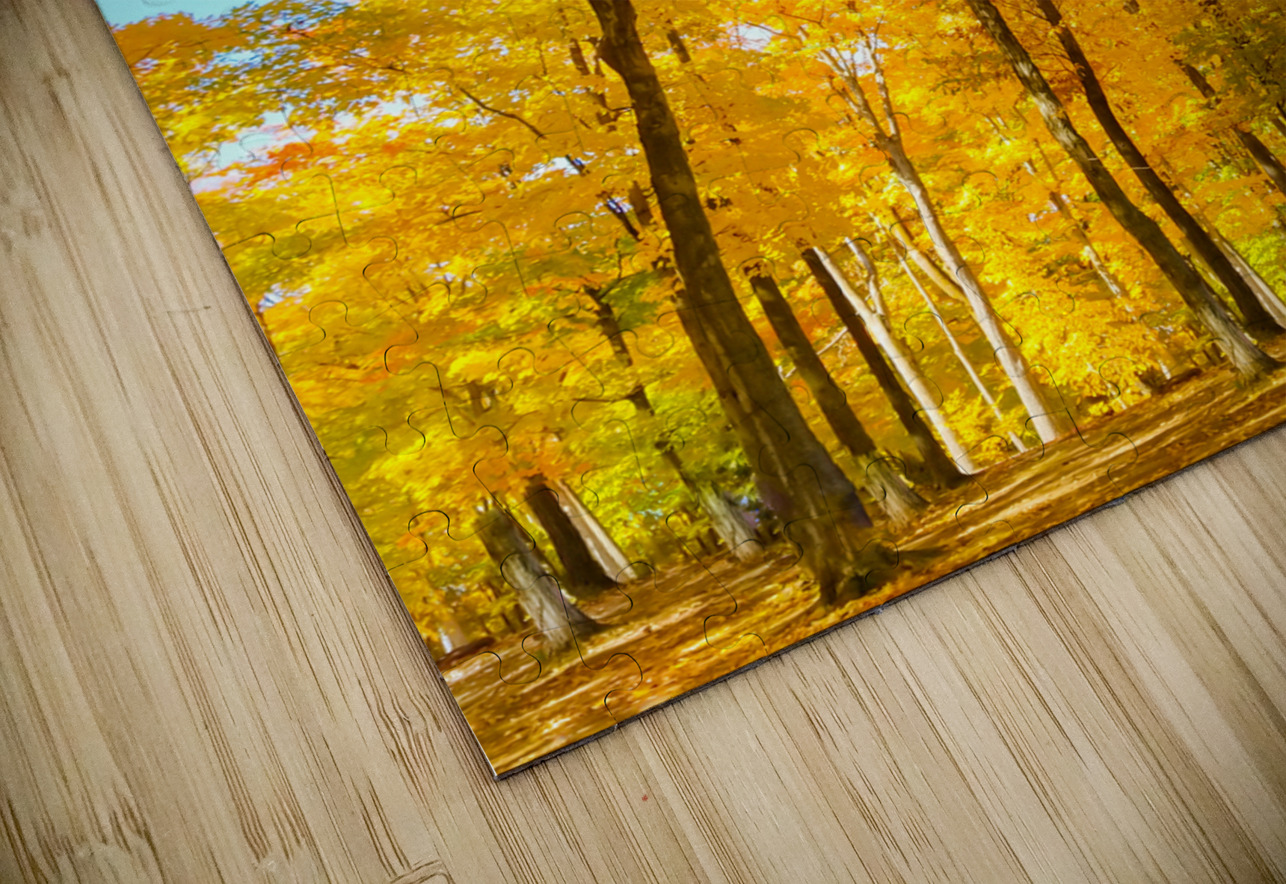 Fall Foliage Kinseys Captures Puzzle