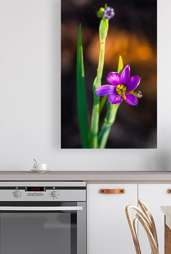 Blooms Friend by Kinseys Captures