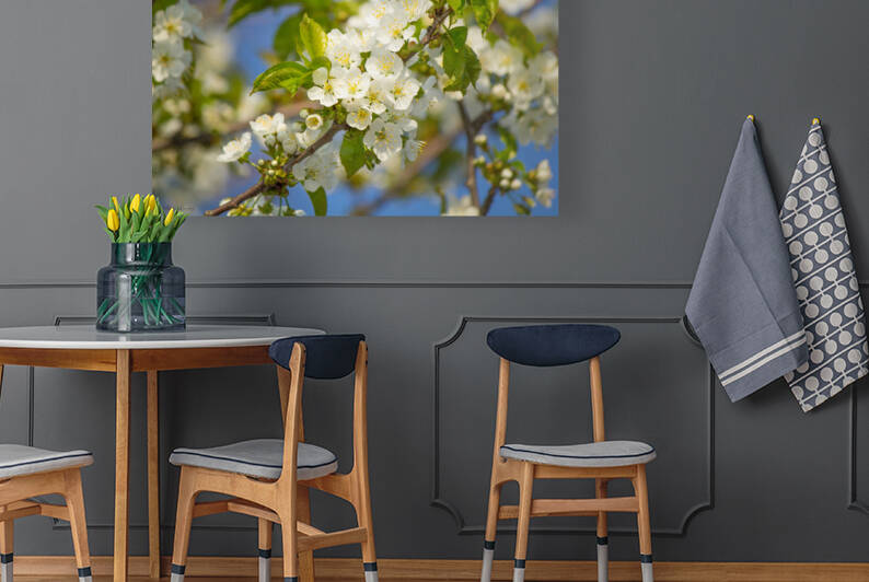 Soaring Blossoms by Kinseys Captures