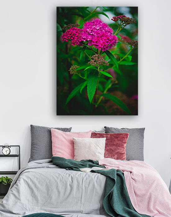 Mystical Meadowsweet by Kinseys Captures