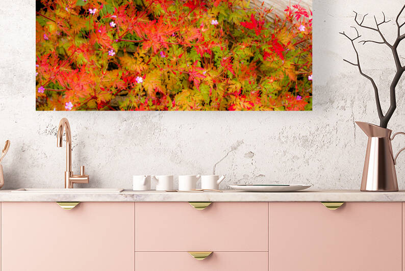 Joyful Geraniums by Kinseys Captures