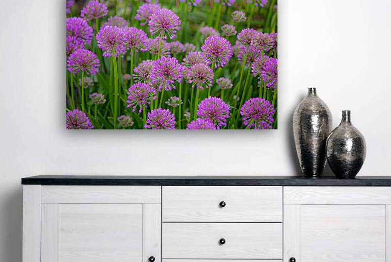 Serendipity Landscape by Kinseys Captures