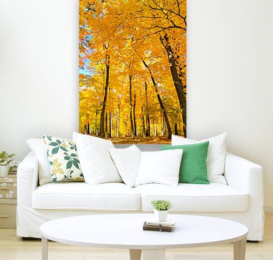 Fall Foliage by Kinseys Captures