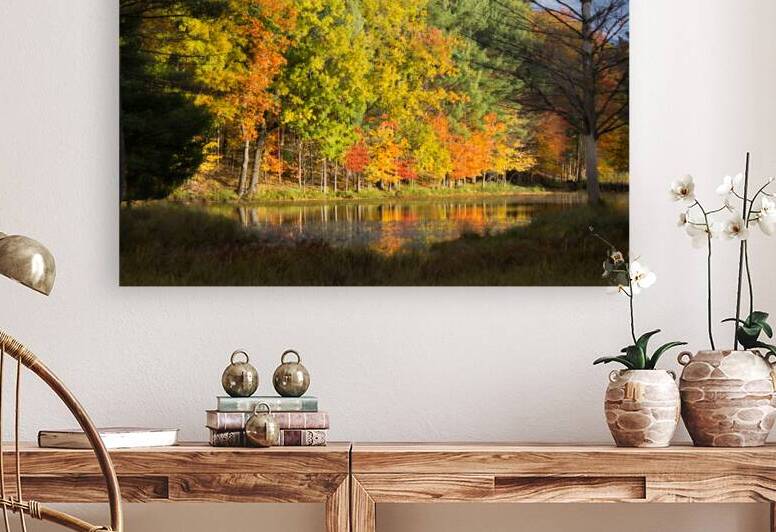 Fall in North Woods by Kinseys Captures